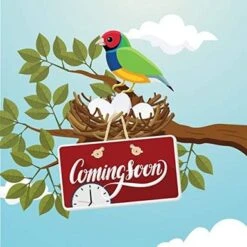 ViewSonic VA2256-MHD_H2 Frameless Dual Pack Head-Only 1080p IPS Monitors With HDMI DisplayPort And VGA For Home And Office