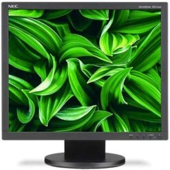 NEC AccuSync AS194Mi-BK - LED Monitor - 19"